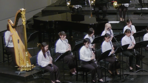 チャッコーナ・アラルガータ